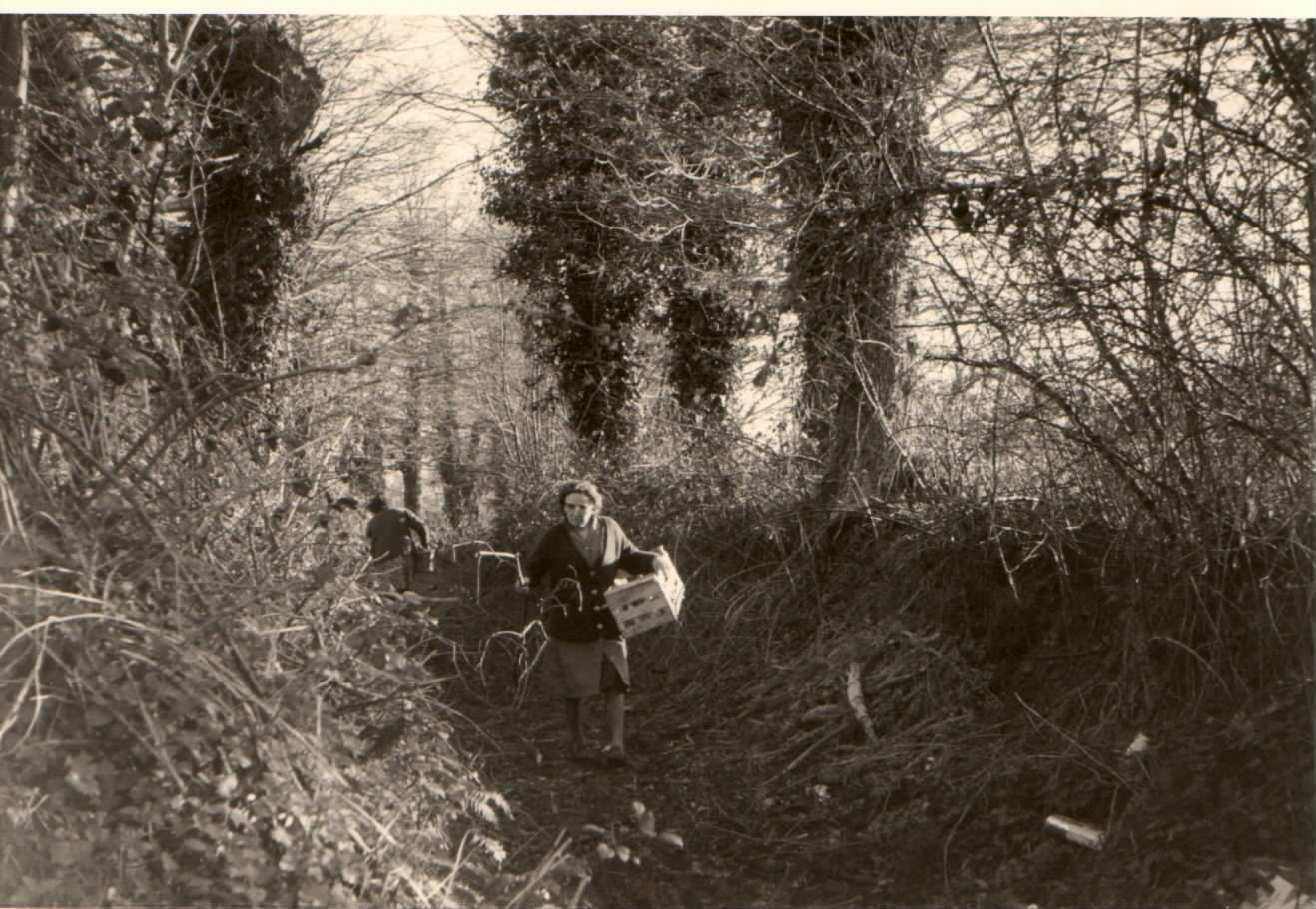 Chemin du Baroir