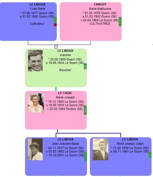 Arbre de la famille Le Liboux