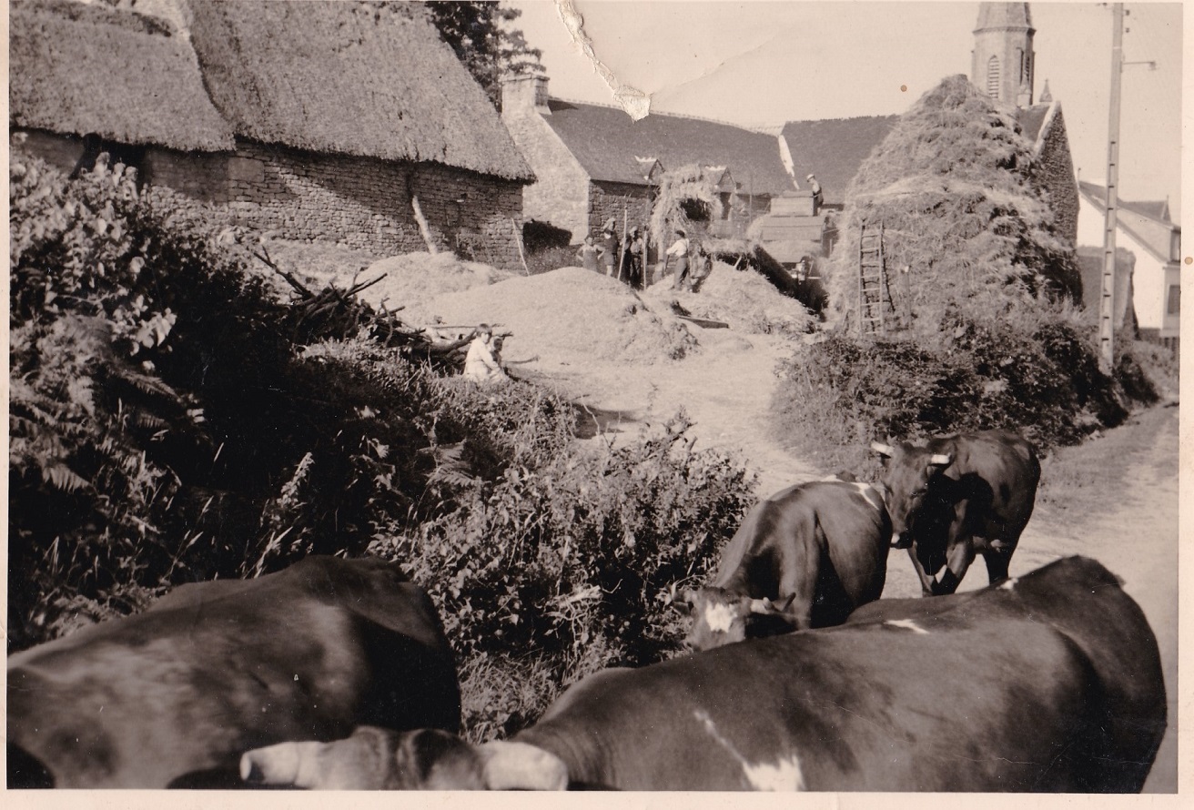 Ferme Camlann