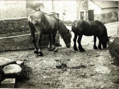 1950-vu-de-la-ferme-le-net-sur-le-salon-de-coiffure-actuel