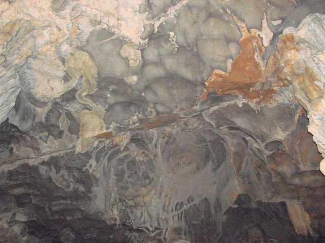 DSCA0186