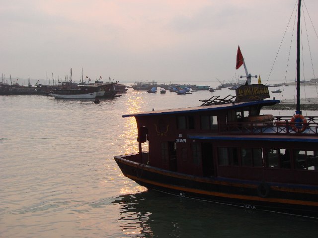 DSCA0220