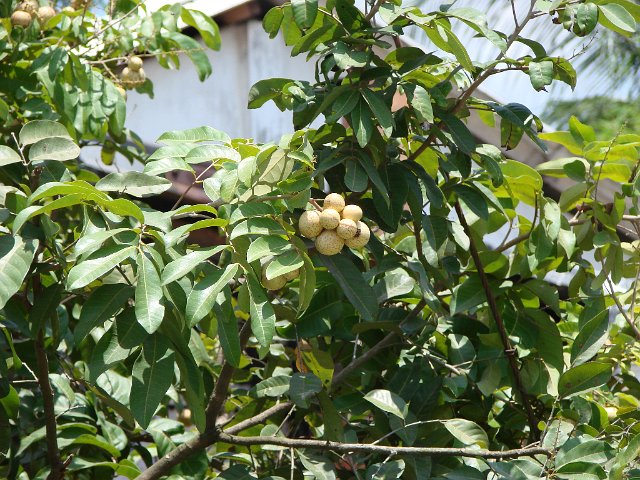 DSCB0583