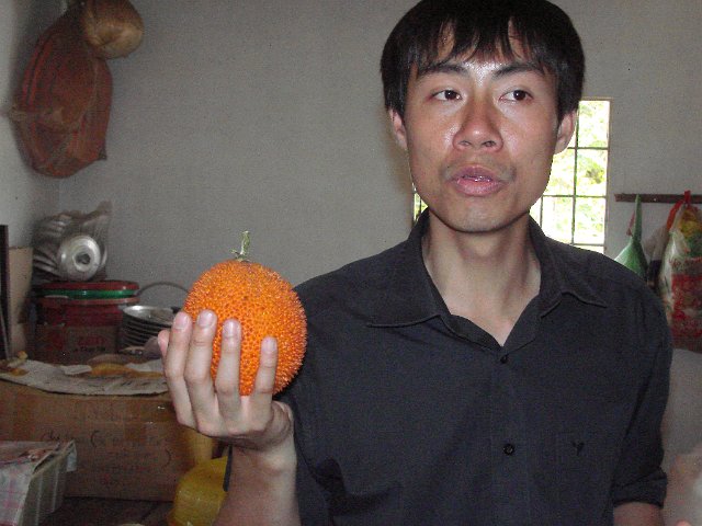 DSCB0730